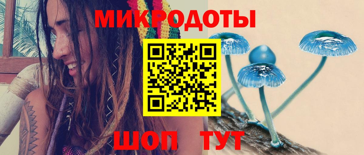 даркнет сайт  Псилоцибиновые грибы GOLDEN TEACHER  Вход с VPN  Галлюциногенные грибы GOLDEN TEACHER  Корсаков 
